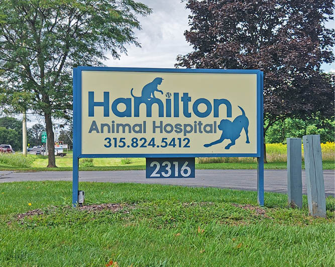 hamilton4